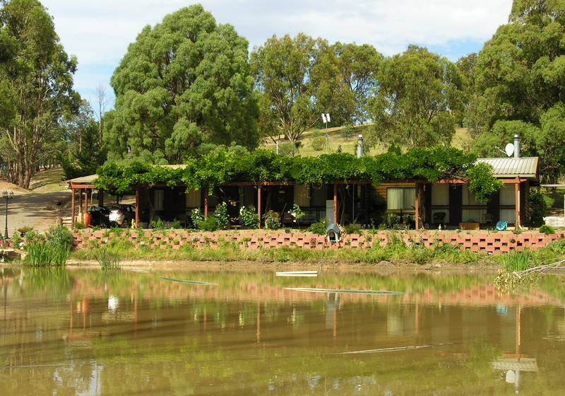 PEPPIN POINT OASIS Picture 1