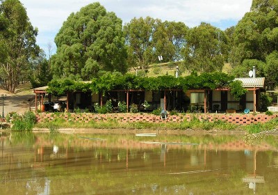 PEPPIN POINT OASIS Picture