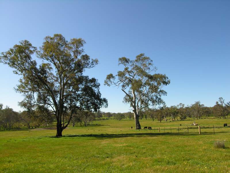 REDWOOD PARK. Ref 676 & 677 Picture 2