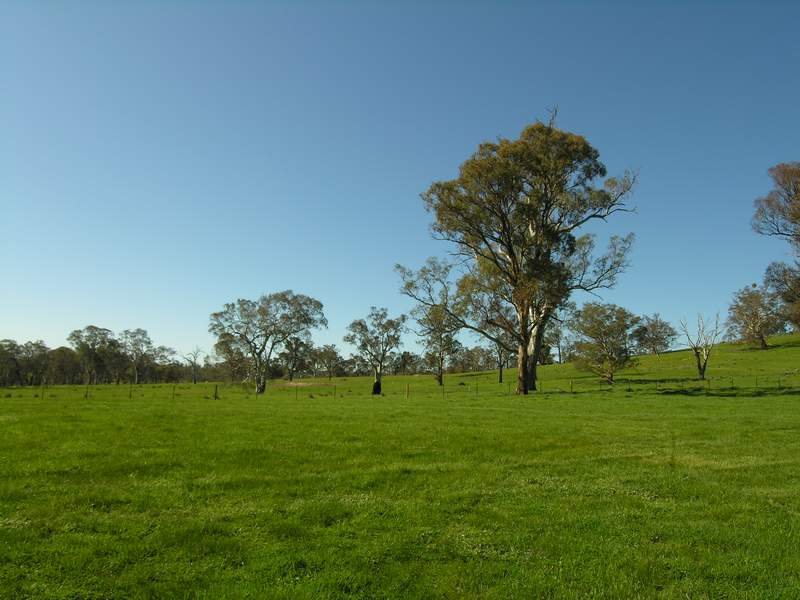 REDWOOD PARK. Ref 676 & 677 Picture 3
