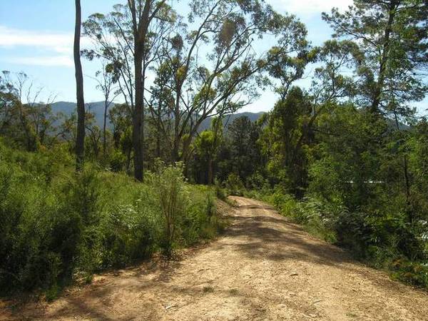 CALL OF THE WILD. Ref: 688 Picture 2