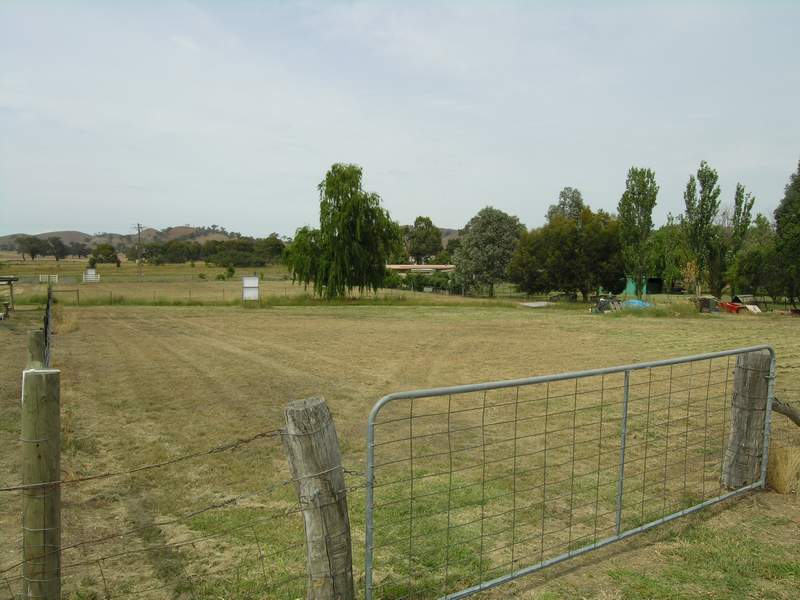 1/2 ACRE RESIDENTIAL ALLOTMENT. Ref: 703 Picture 2