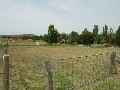 1/2 ACRE RESIDENTIAL ALLOTMENT. Ref: 703 Picture