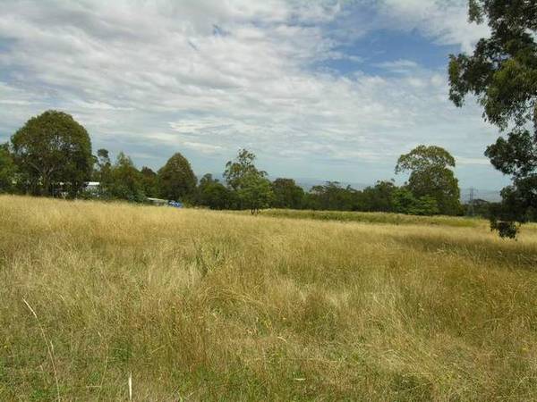 FERTILE HIGH COUNTRY ACRES - SOLD Picture