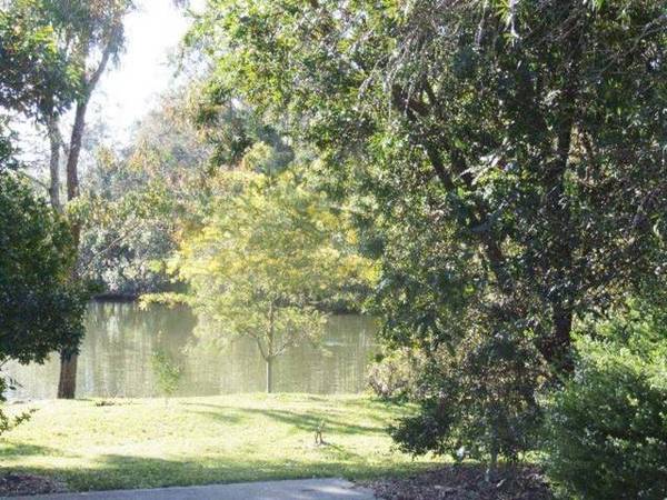 Blackalls Park Picture