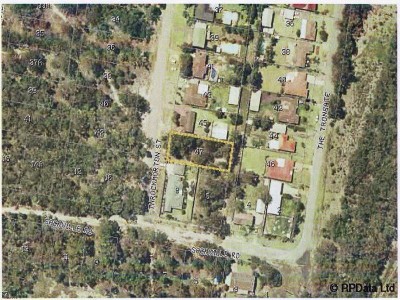 COUNTRY LIFESTYLE Picture