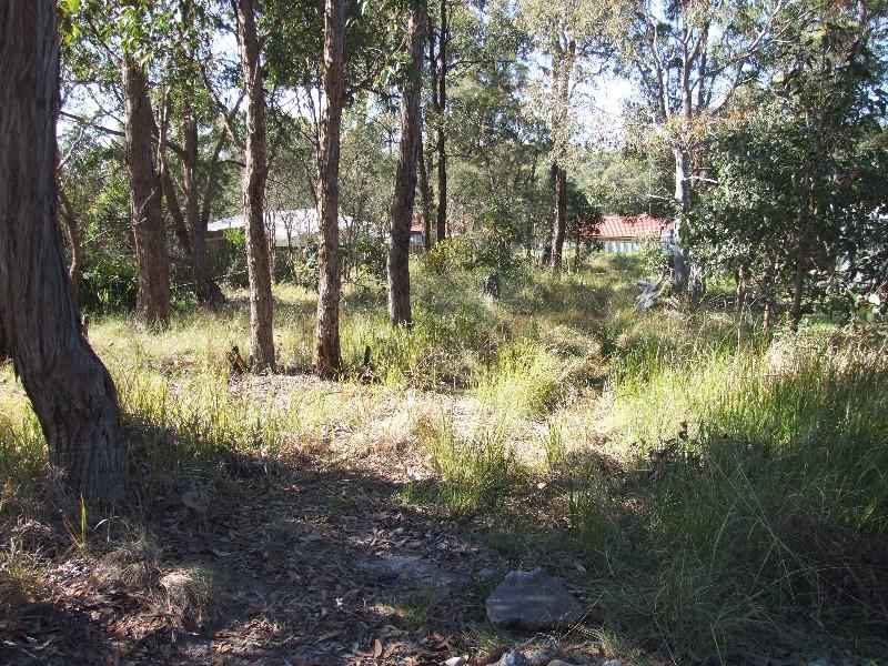 COUNTRY LIFESTYLE Picture 2