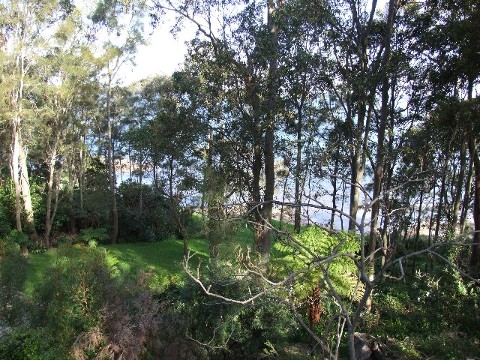 Wangi Wangi Picture Wangi Wangi Picture