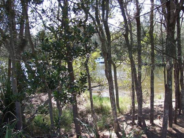 Blackalls Park - Completley renovated Picture Blackalls Park - Completley renovated Picture