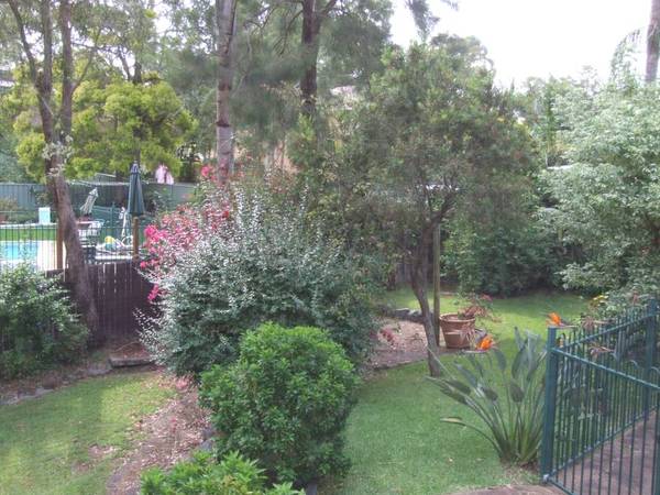 Coal Point Picture Coal Point Picture