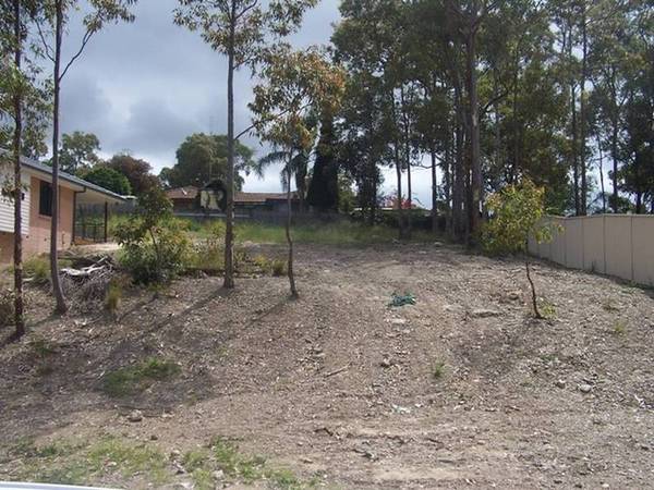 Woodrising Picture 1