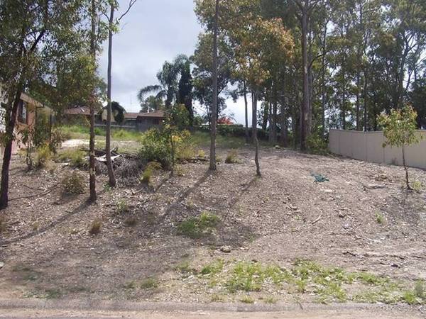 Woodrising Picture 2