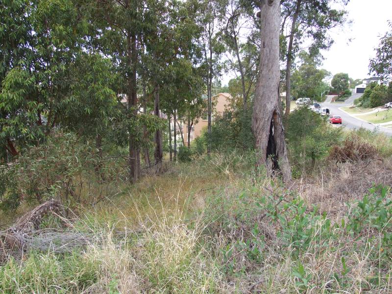 CASH IN ON THE GOVERNMENTS NEW HOME INCENTIVE ! Picture 1