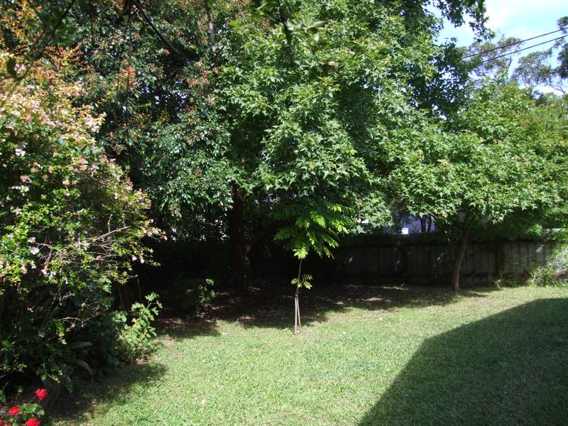 Level and lovely Picture