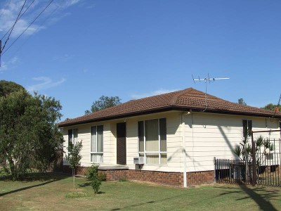 BEAUT SPOT - GREAT STARTER Picture