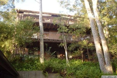 COAL POINT - BLUE RIBBON ADDRESS Picture