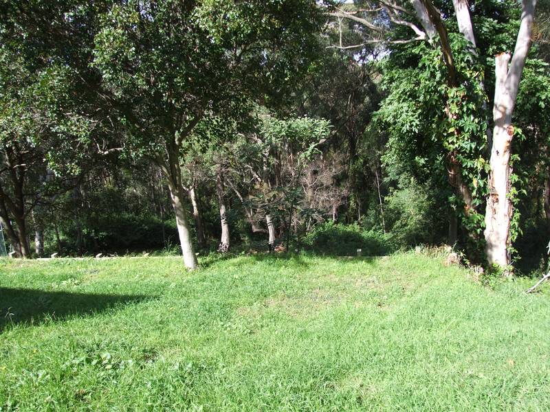 BRAND NEW KITCHEN Picture 3