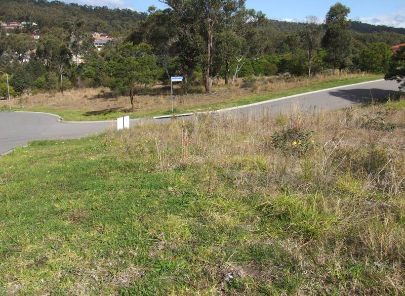 PLENTY OF SCOPE Picture 1