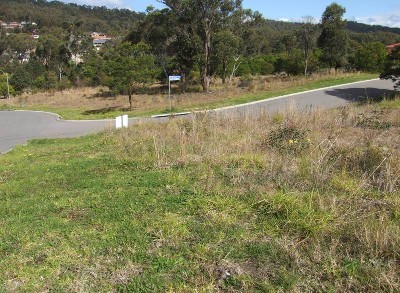 PLENTY OF SCOPE Picture