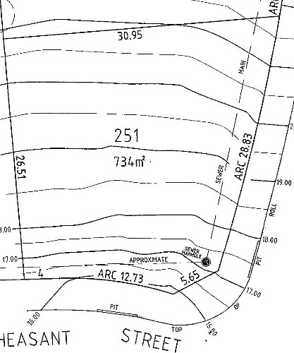 PLENTY OF SCOPE Picture 2