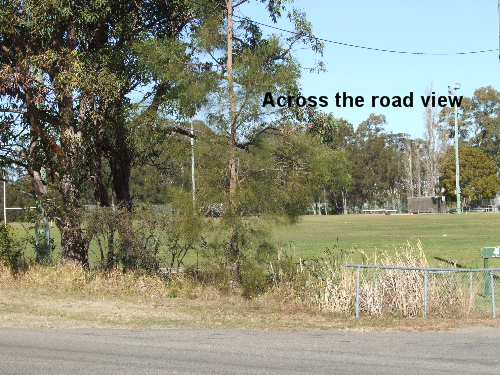 ARCADIA VALE Picture 1