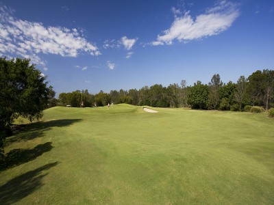 LAND, LAND AND MORE LAND Picture LAND, LAND AND MORE LAND Picture