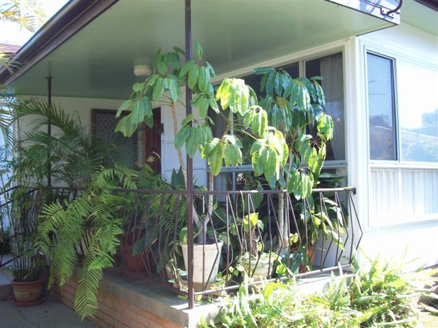 2 Blocks to Belongil Beach Picture 3