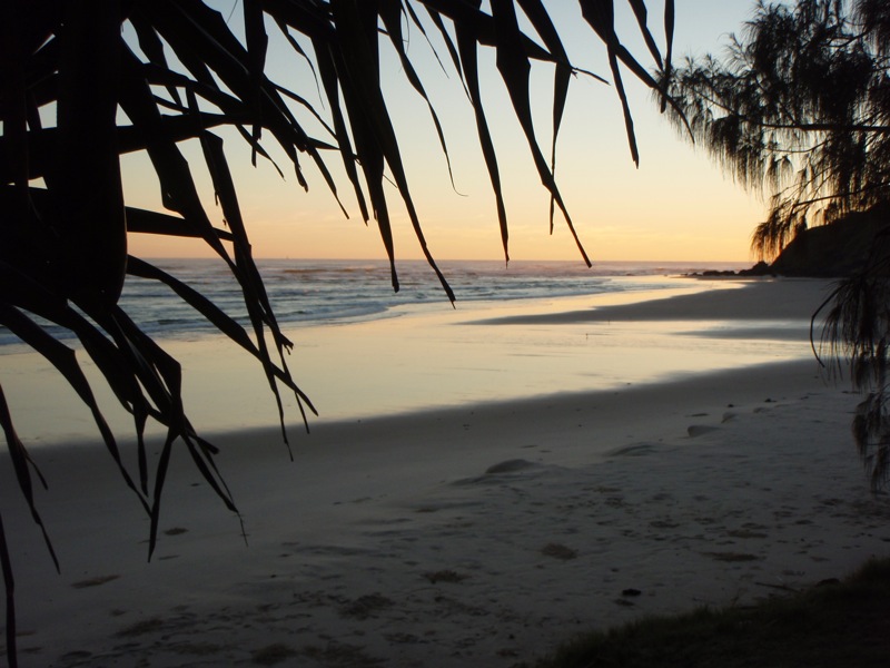 One Street back from Clarkes Beach Picture 2