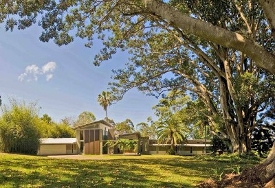 Fig Hill Picture Fig Hill Picture