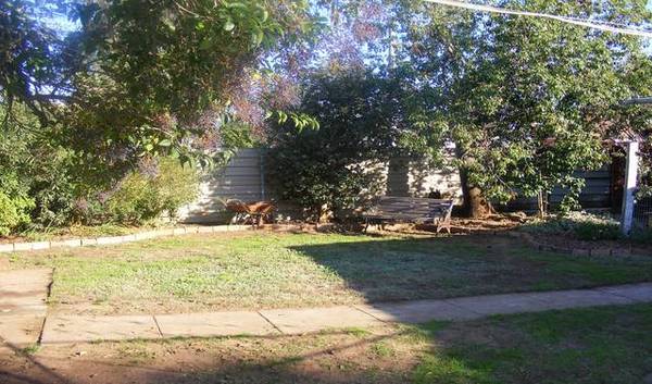 Charater Filled Home Picture Charater Filled Home Picture