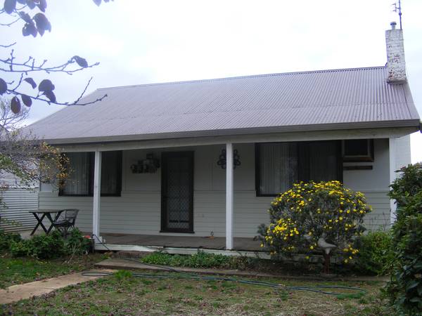 Great Starter Picture 1