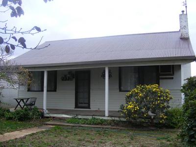 Great Starter Picture Great Starter Picture