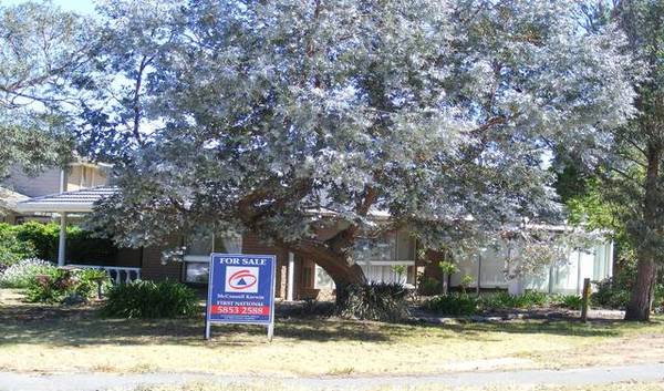 Bigger than a Unit Picture