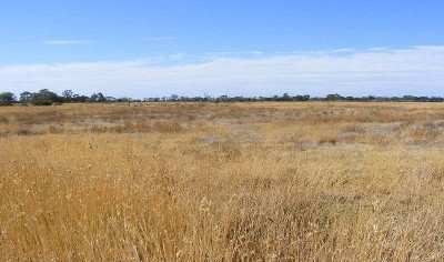 Build Your Escape Picture