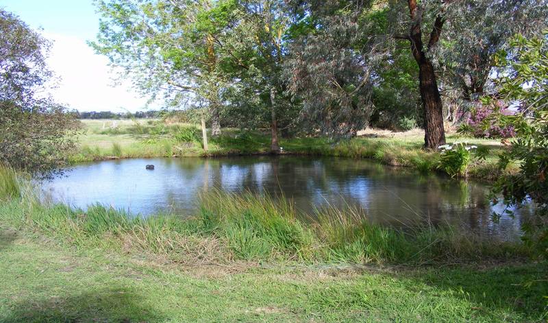 Affordable Lifestyle Opportunity Picture 2