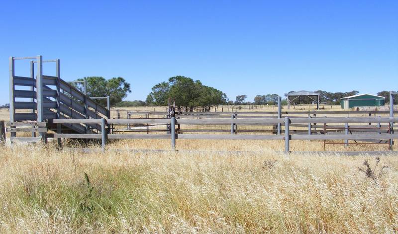 75 Acre - Outblock Picture 2