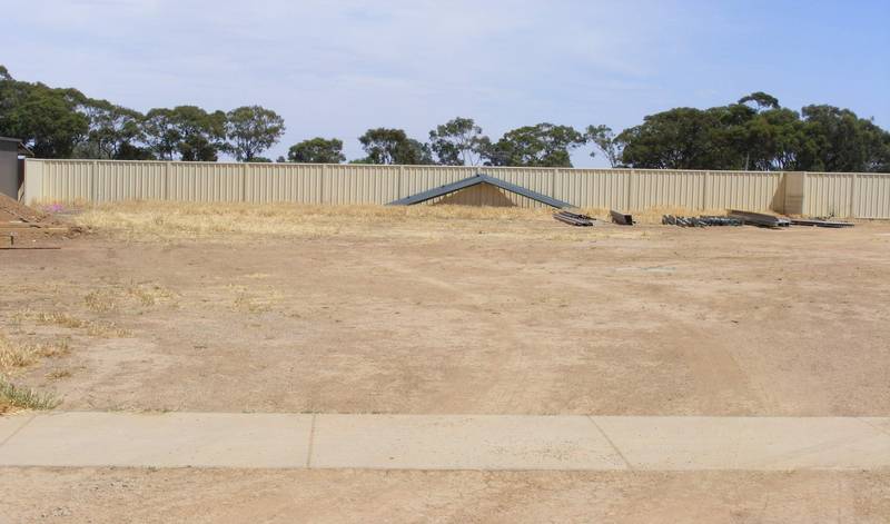 Last of the Big Blocks Picture 2