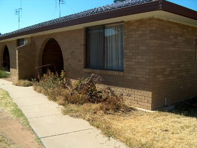 One bedroom unit Picture