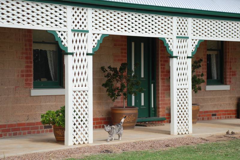 Mud Brick Homestead - 25 Acres Picture 2