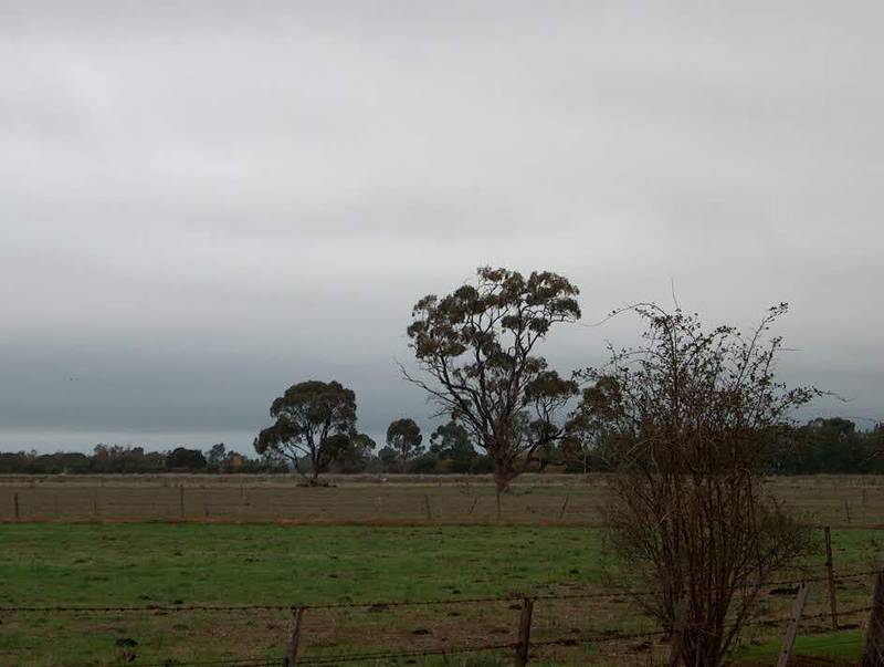 116 acre Outblock Picture 3