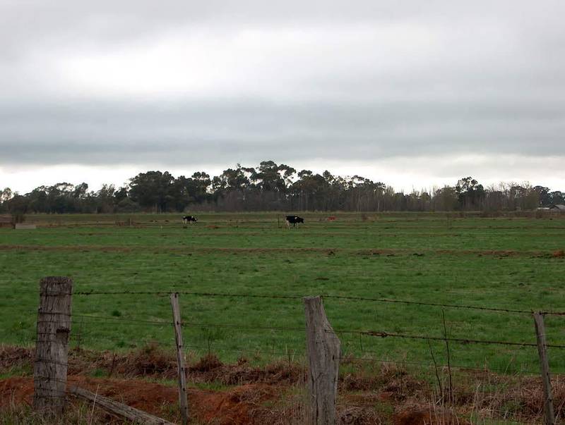 116 acre Outblock Picture 1