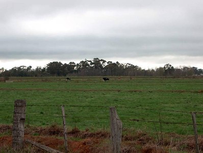 116 acre Outblock Picture