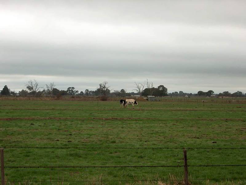 116 acre Outblock Picture 2