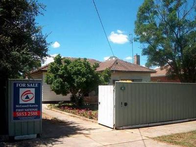 The choice is yours! Picture