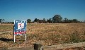Build your dream home - 1 Acre block Picture Build your dream home - 1 Acre block Picture