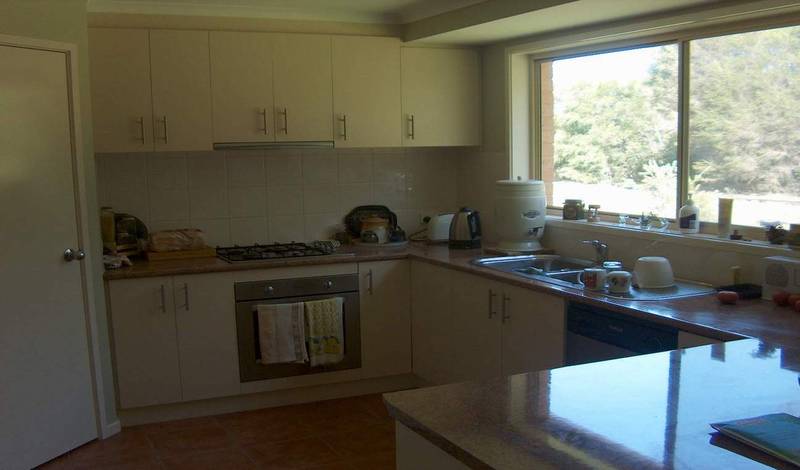 Established and New Picture 2