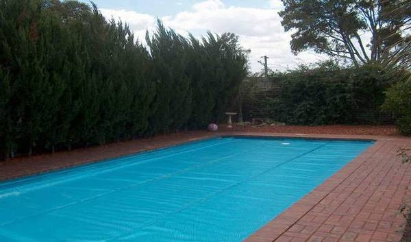 True Quality! Picture 3