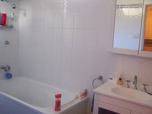 GREAT OPPURTUNITY Picture 3