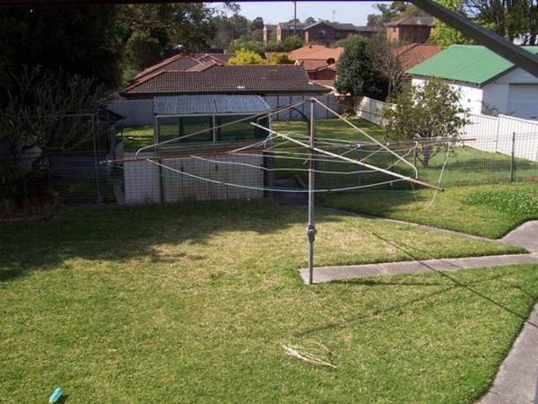 LOOK AT THE POTENTIAL Picture 3