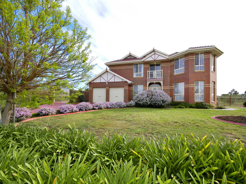 An Entertainers Delight. Picture 1